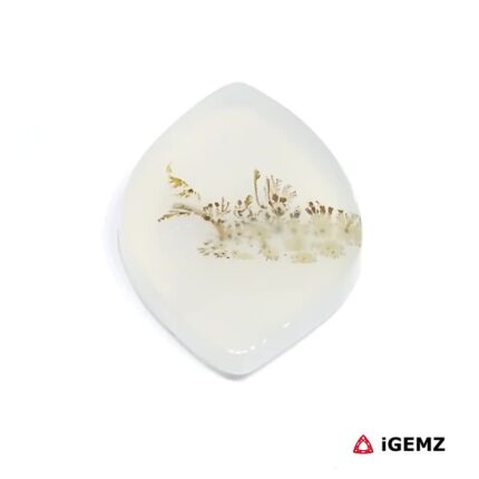 18.55 ct Brown Dendritic Agate - iGemz24576 gemstone for sale at igemz.co.za
