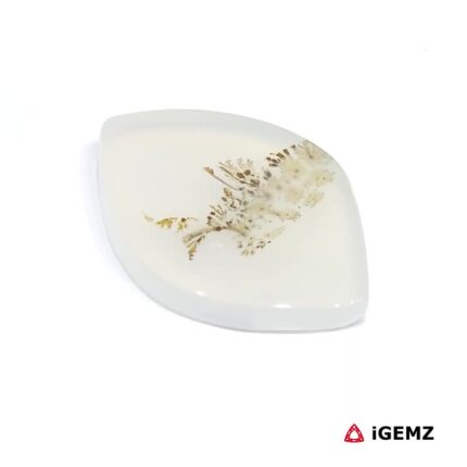 18.55 ct Brown Dendritic Agate - iGemz24576 gemstone for sale at igemz.co.za
