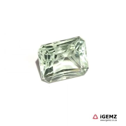 9.18 ct Green Prasiolite - iGemz20221