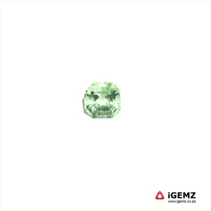 1.36 ct Green Tourmaline - iGemz20295K