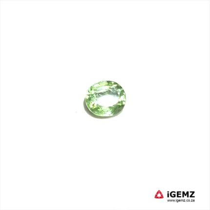 1.67 ct Green Tourmaline - iGemz20299G