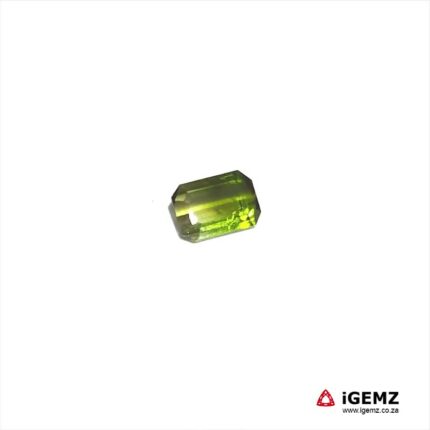 1.08 ct Bi-Colour Tourmaline - iGemz20301A