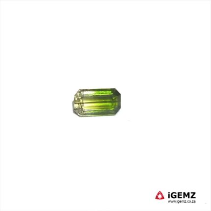 1.49 ct Bi-Colour Tourmaline - iGemz20301B