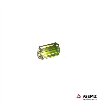 1.49 ct Bi-Colour Tourmaline - iGemz20301B