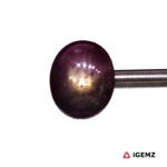 7.63 ct Red Star Ruby - iGemz24712 gemstone for sale at igemz.co.za