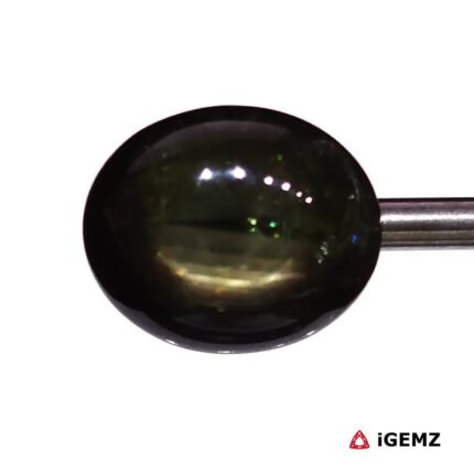 20.05 ct Yellow Star Sapphire - iGemz24713 gemstone for sale at igemz.co.za