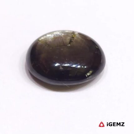 15.9 ct Black Star Sapphire - iGemz24728 gemstone for sale at igemz.co.za