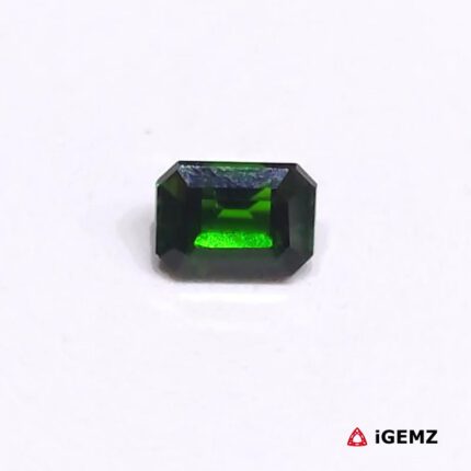 1.105 ct Green Chrome Diopside - iGemz24742 gemstone for sale at igemz.co.za