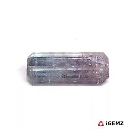 1.665 ct Bi-Colour Tourmaline - iGemz27152 gemstone for sale at igemz.co.za