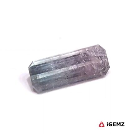 1.665 ct Bi-Colour Tourmaline - iGemz27152 gemstone for sale at igemz.co.za