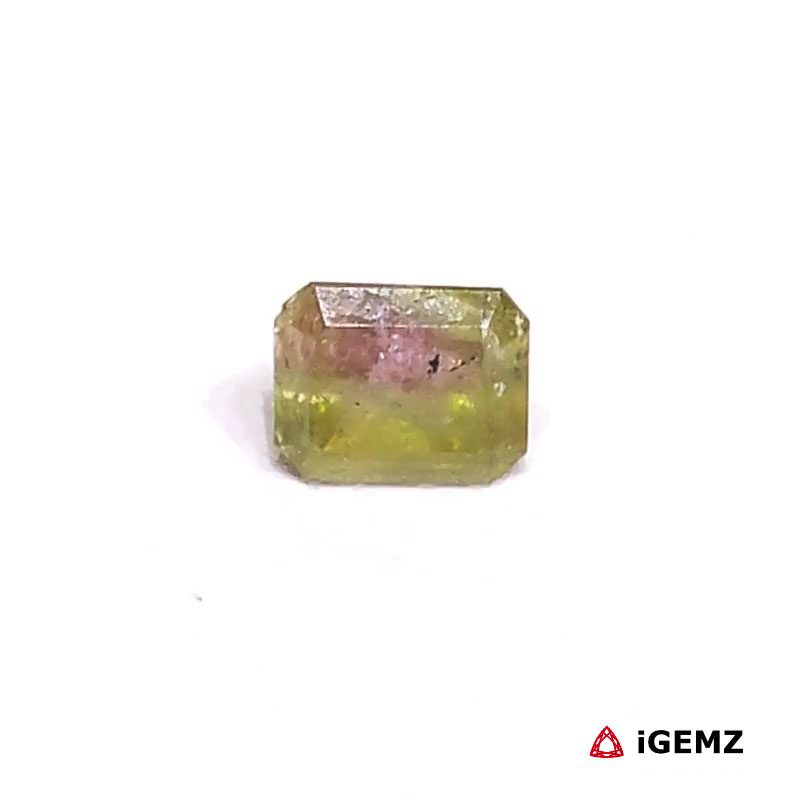 iGemz27157.1 0.86 ct Bi-Colour Tourmaline - iGemz27157 gemstone for sale at igemz.co.za