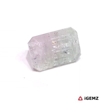 2.56 ct Bi-Colour Tourmaline - iGemz27170 gemstone for sale at igemz.co.za