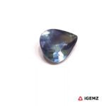 1.47 ct Bi-Colour Sapphire - iGemz26313 - Image 3