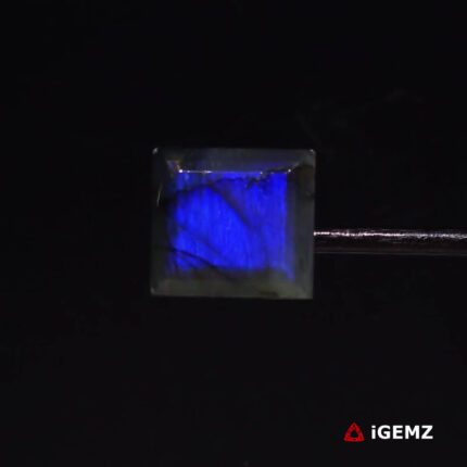 15.38 ct Blue Labradorite - iGemz27327 gemstone for sale at igemz.co.za