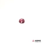 0.56 ct Pink Tourmaline - iGemz20367G