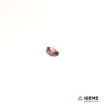 0.53 ct Pink Tourmaline - iGemz20370K