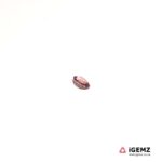 0.36 ct Pink Tourmaline - iGemz20373I