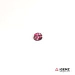 0.49 ct Pink Tourmaline - iGemz20374L