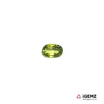 0.63 ct Green Tourmaline - iGemz20399B
