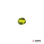 0.72 ct Green Tourmaline - iGemz20419B