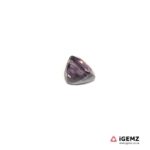 1.57 ct Purple Spinel - iGemz20446