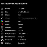 0.74 ct Blue Aquamarine - iGemz21081