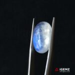 11.2 ct Blue Moonstone - iGemz21190