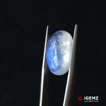 11.2 ct Blue Moonstone - iGemz21190