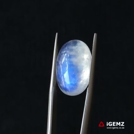 11.2 ct Blue Moonstone - iGemz21190