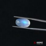 7.81 ct Blue Moonstone - iGemz21191