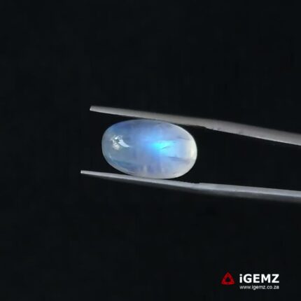 7.81 ct Blue Moonstone - iGemz21191