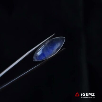 7.07 ct Blue Moonstone - iGemz21195