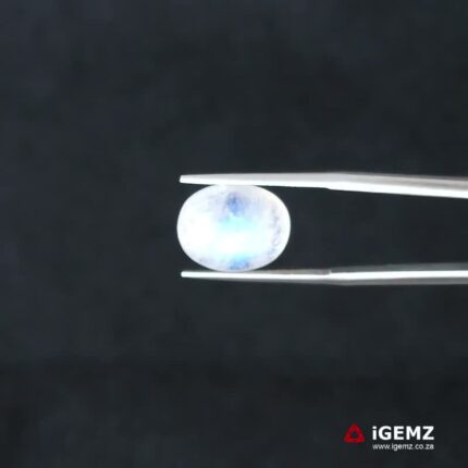 5.84 ct Blue Moonstone - iGemz21196