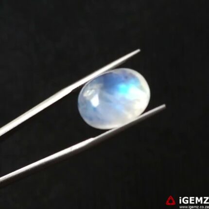 12.43 ct Blue Moonstone - iGemz21198