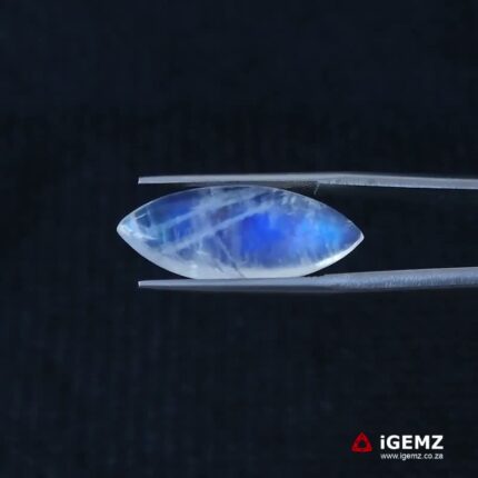 8.75 ct Blue Moonstone - iGemz21201