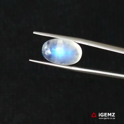 9.12 ct Blue Moonstone - iGemz21204