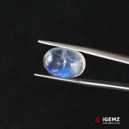 6.4 ct Blue Moonstone - iGemz21205
