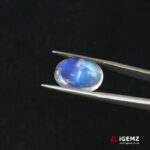 6.4 ct Blue Moonstone - iGemz21205