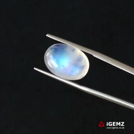 8.73 ct Blue Moonstone - iGemz21208