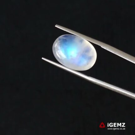 8.73 ct Blue Moonstone - iGemz21208