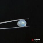 5.73 ct Rainbow Moonstone - iGemz21219