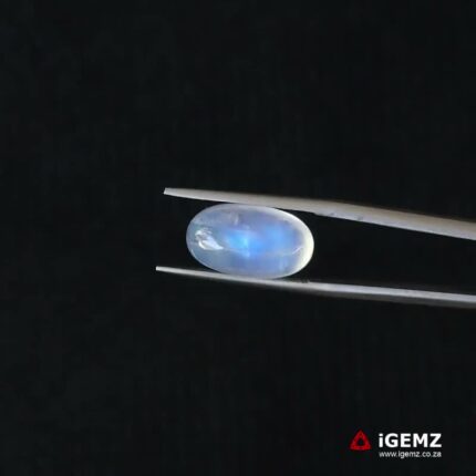8.09 ct Blue Moonstone - iGemz21220