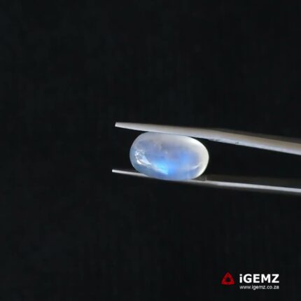 8.09 ct Blue Moonstone - iGemz21220