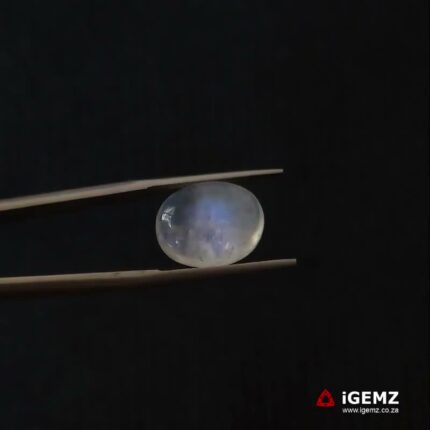 6.67 ct Blue Moonstone - iGemz21223