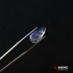 2.74 ct Blue Moonstone - iGemz21225