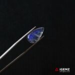 2.74 ct Blue Moonstone - iGemz21225