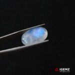 6.29 ct Blue Moonstone - iGemz21230