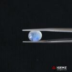 3.9 ct Blue Moonstone - iGemz21309