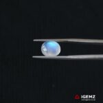 3.9 ct Blue Moonstone - iGemz21309