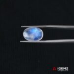 6.23 ct Blue Moonstone - iGemz21313
